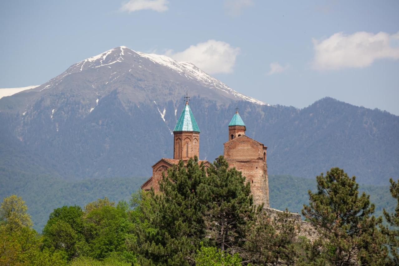 Chateau Gremisio Kvareli Esterno foto